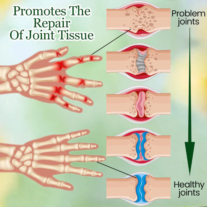 SEAGRIL™Bio-Beinwell-Kräuter salbe